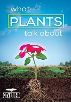 NATURE: What Plants Talk About - Movie