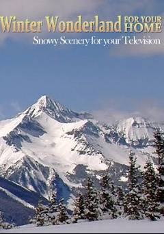 Winter Wonderland for Your Home: Snowy Scenery for Your Television - Movie