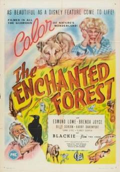 The Enchanted Forest - Movie