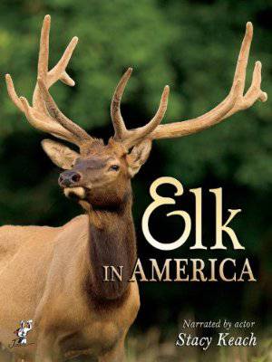 Elk in America - Amazon Prime