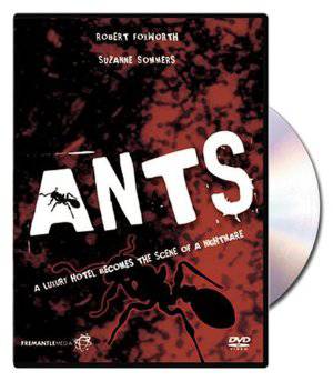 Ants & Aphids: A Symbiotic Relationship - Movie