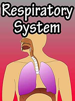 Respiratory & Circulatory System - Amazon Prime