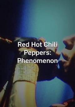The Red Hot Chili Peppers: Phenomenon - HULU plus