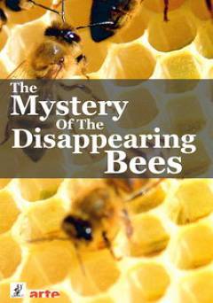 The Mystery of the Disappearing Bees - HULU plus