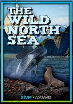Wild North Sea: Footage Never Seen Before - Movie