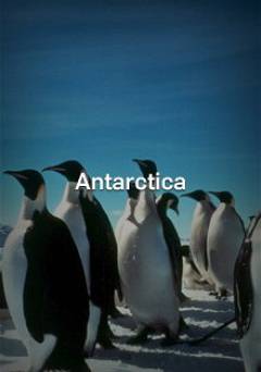 Antarctica - Movie