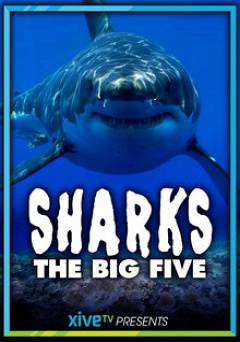 Sharks: The Big Five - HULU plus