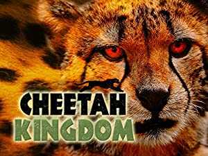 Cheetah Kingdom - HULU plus