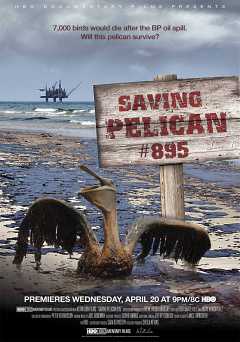 Saving Pelican 895 - Movie