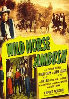 Wild Horse Ambush - Amazon Prime