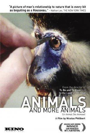 Animals and More Animals - Movie