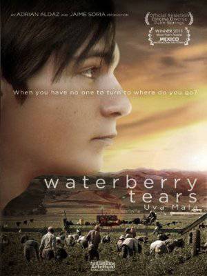 Waterberry Tears - Movie