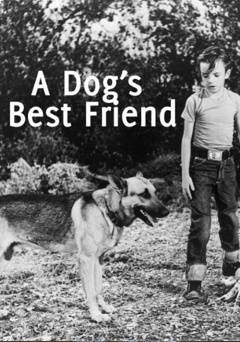 A Dogs Best Friend - Movie