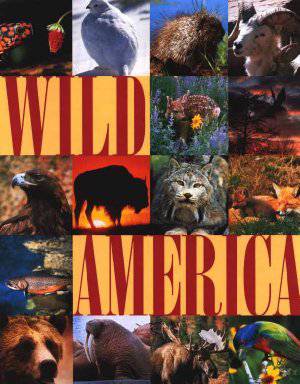 Wild America - Amazon Prime