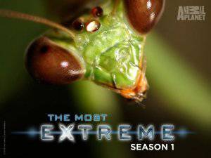 The Most Extreme - TV Series