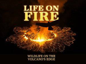 Life On Fire - Amazon Prime