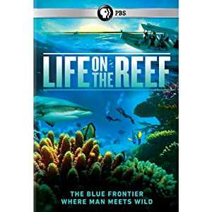 LIFE ON THE REEF - TV Series
