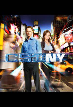 CSI: NY - TV Series