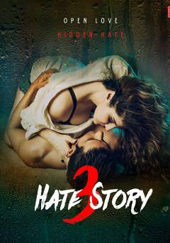 Hate Story 3 - netflix