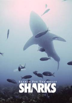 Search for the Great Sharks - Movie