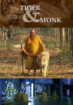 The Tiger And The Monk - Movie