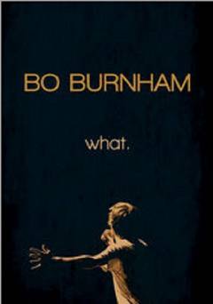 Bo Burnham: what. - netflix