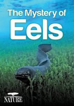 Nature: The Mystery of Eels - Amazon Prime