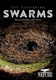 Nature: The Gathering Swarms - Amazon Prime