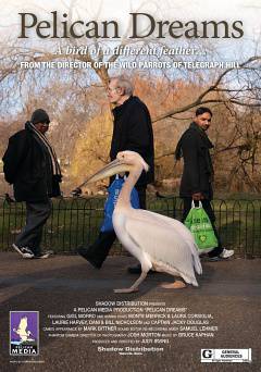 Pelican Dreams - Movie
