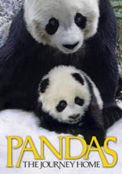 Pandas: The Journey Home - Movie