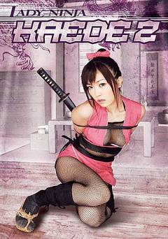 Lady Ninja Kaede 2 - netflix