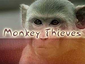Monkey Thieves - TV Series
