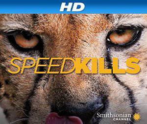 Speed Kills - netflix