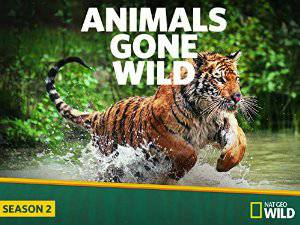 Animals Gone Wild - TV Series
