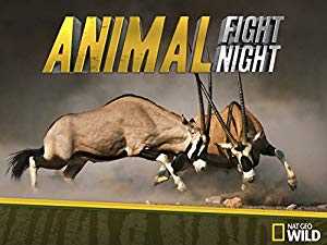 Animal Fight Night - TV Series