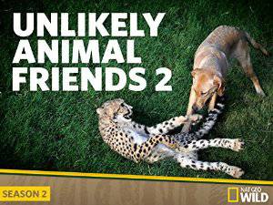 Unlikely Animal Friends - netflix