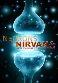 Neurons to Nirvana - Amazon Prime