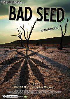 Bad Seed: A Tale of Mischief, Magic and Medical Marijuana - HULU plus