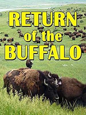 Return Of The Buffalo - Restoring The Great American Prairie - Movie
