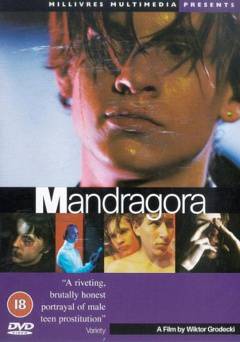 Mandragora - fandor