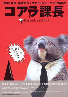 Executive Koala - fandor