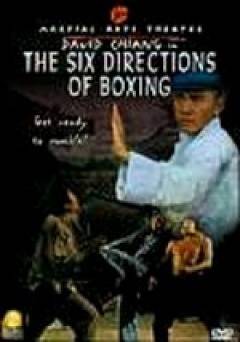 The Six Directions of Boxing - Movie