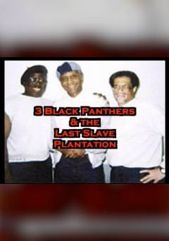 The Angola 3: Black Panthers and the Last Slave Plantation - Movie