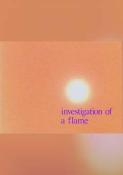 Investigation of a Flame - Movie