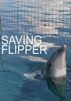Saving Flipper - Movie
