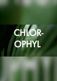 Chlorophyl - fandor