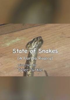 State of Snakes - Movie