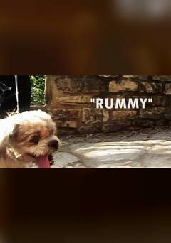 Rummy - Movie