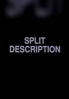 Split Description - Movie