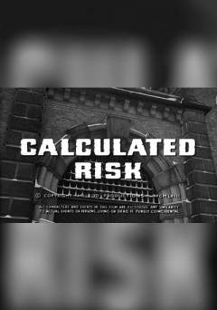 Calculated Risk - Movie
